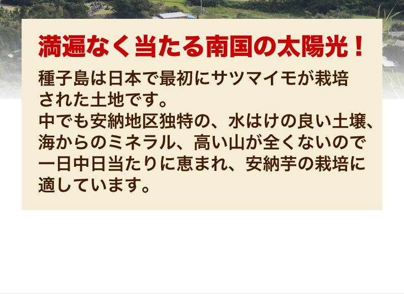 満遍なく当たる南国の太陽光！