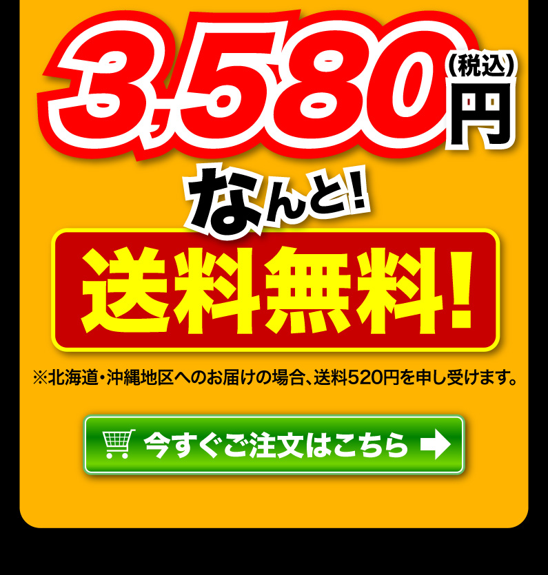 送料無料！今すぐご注文はこちら