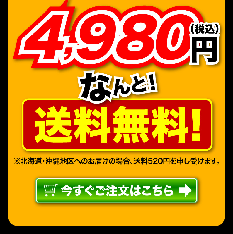 送料無料！今すぐご注文はこちら