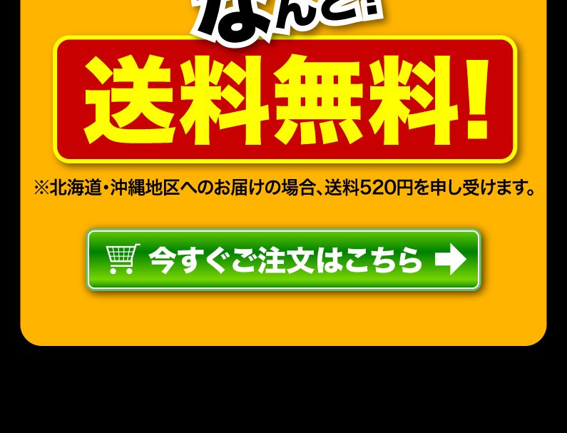 送料無料！今すぐご注文はこちら