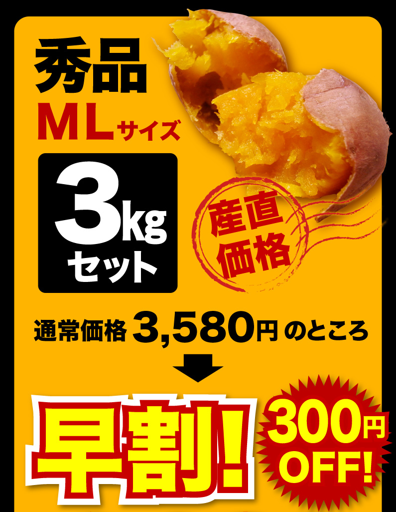 秀品MLサイズ3kgセット 早割