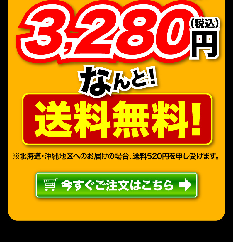 送料無料！今すぐご注文はこちら