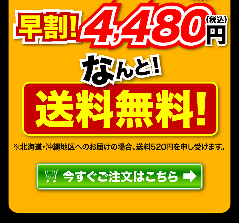 送料無料！今すぐご注文はこちら