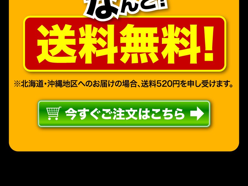 送料無料！今すぐご注文はこちら