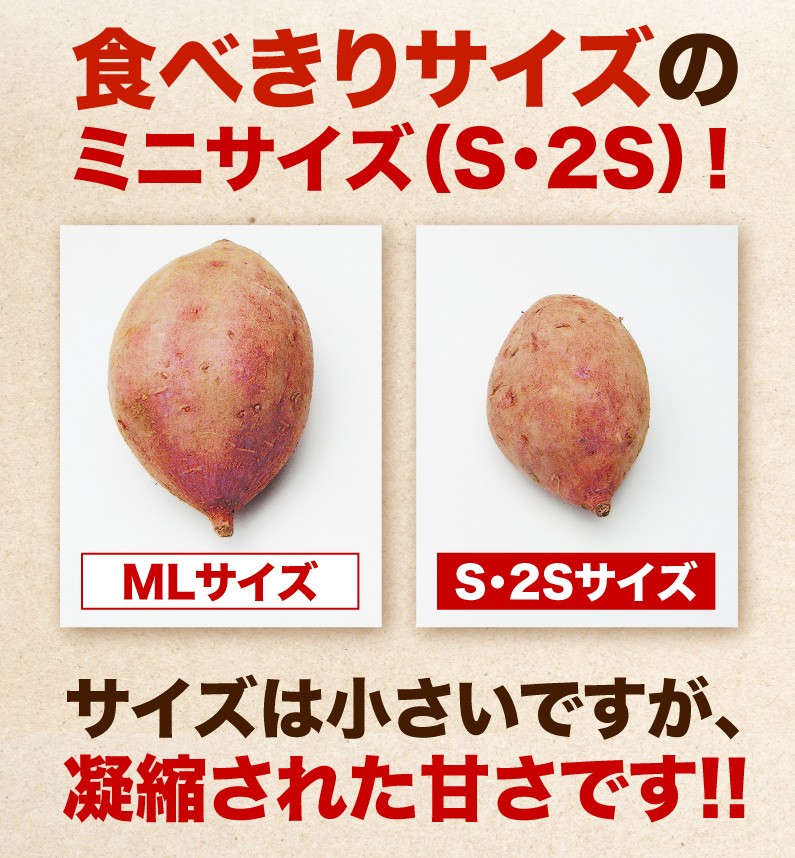 食べきりサイズのミニサイズ(S・2S)サイズは小さいですが、凝縮された甘さです！