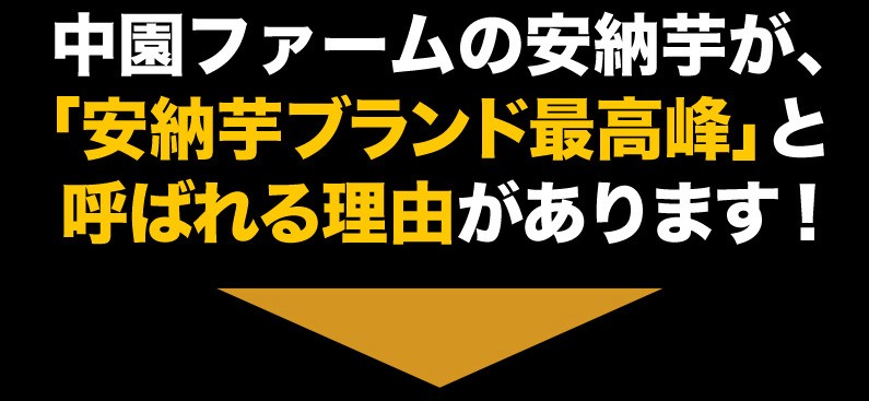 安納芋ブランド最高峰と呼ばれる理由