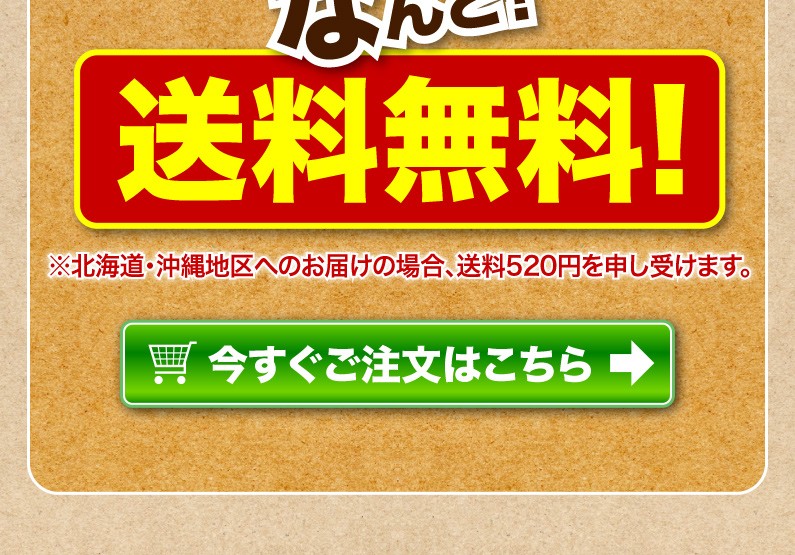 送料無料！今すぐご注文はこちら