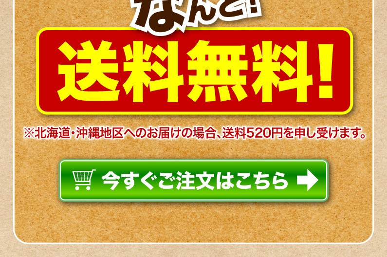 送料無料！今すぐご注文はこちら