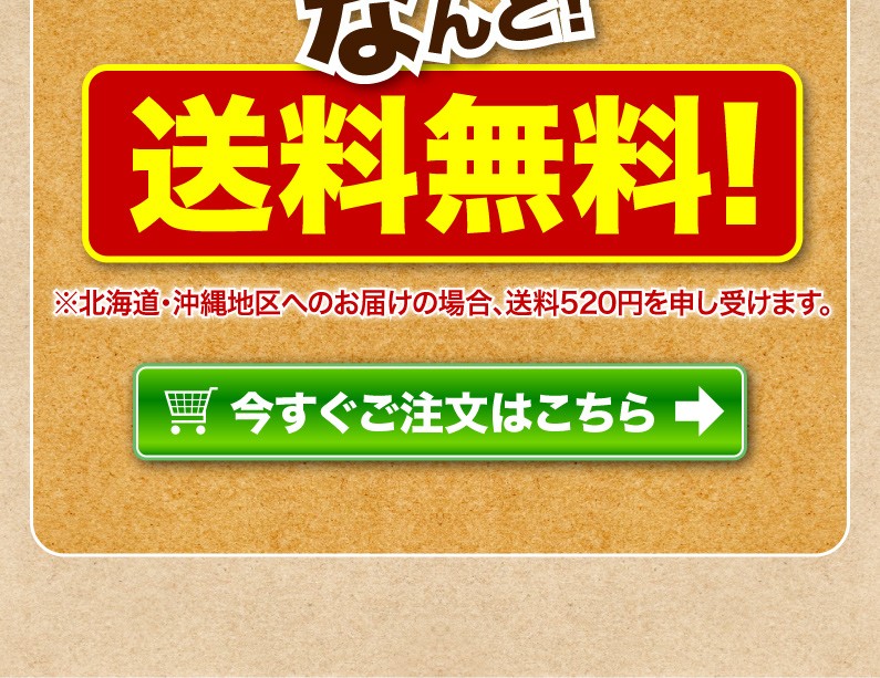 送料無料！今すぐご注文はこちら