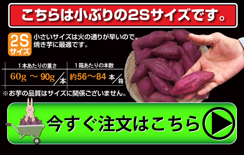 ギフト さつまいも なると金時 里むすめ 秀品 生芋 2Sサイズ 約60g〜90ｇ本 約56〜84本箱 鳴戸市里浦 産地直送 5kg×1箱 鳴門金時  送料無料 J常 :naruto-2s:くいしんぼうドットコム - 通販 - Yahoo!ショッピング