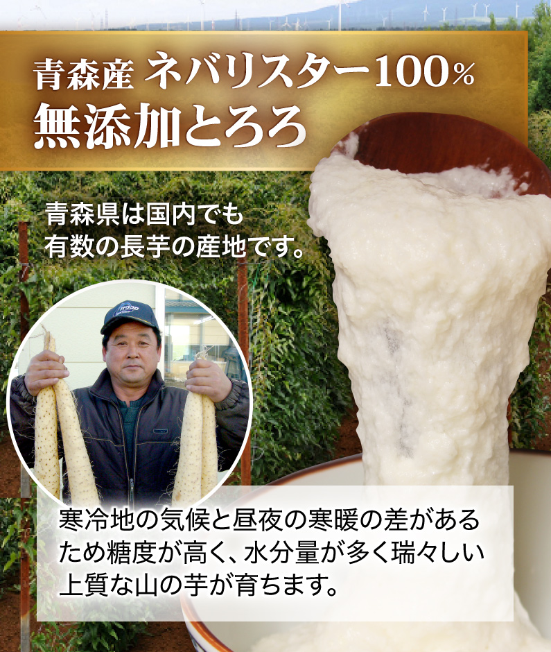 青森産ネバリスター100％無添加とろろ