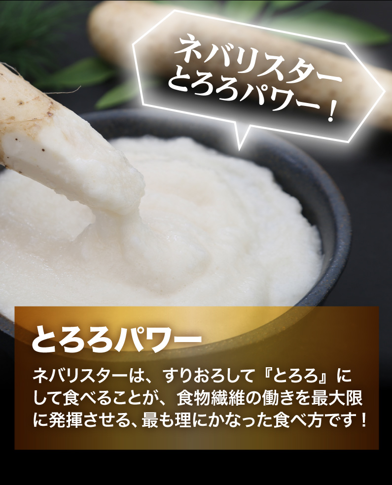 ネバリスター とろろパワー！