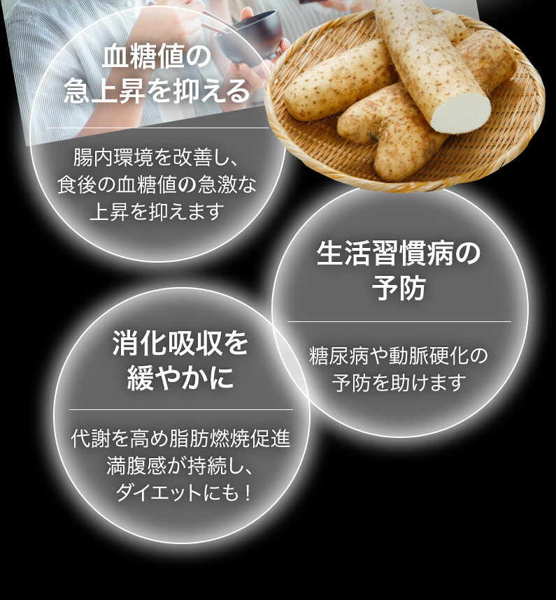 血糖値の急上昇を抑える 生活習慣病の予防 消化吸収を緩やかに