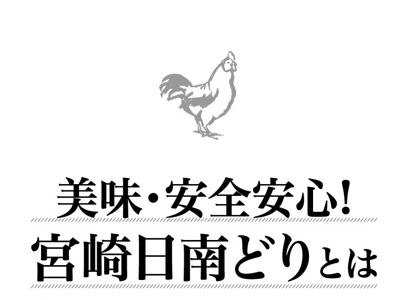 美味・安全安心！宮崎日南どりとは