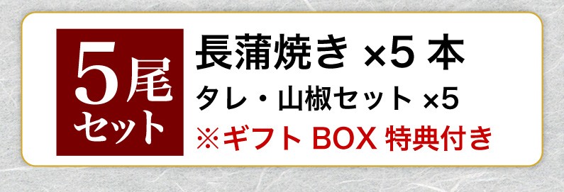 5尾セット 長蒲焼き x5 タレ・山椒セット x5 ※ギフトBOX特典付き