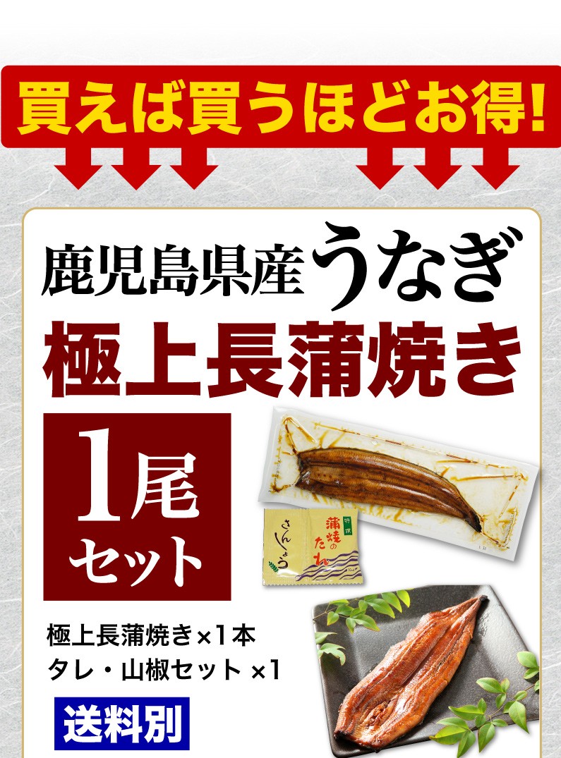 買えば買うほどお得！鹿児島県産うなぎ 極上長蒲焼き1尾セット 送料別