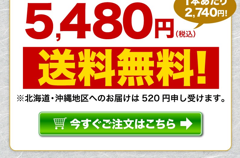 送料無料！今すぐご注文はこちら