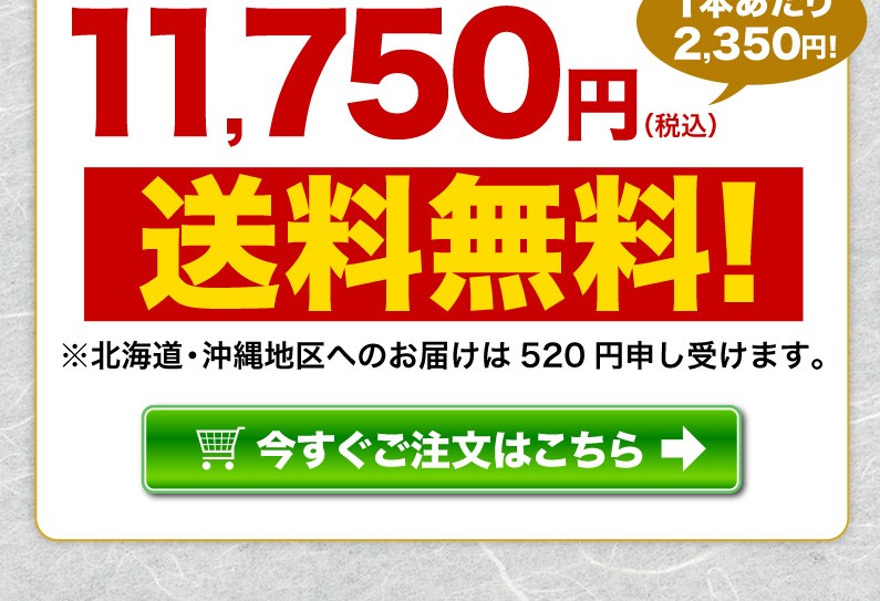 送料無料！今すぐご注文はこちら