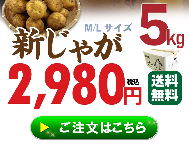 ポイント10倍 新じゃが じゃがいも 国産 ながさき黄金 長崎平戸