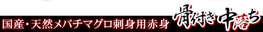 国産・天然メバチマグロ刺身用赤身　骨付き中落ち