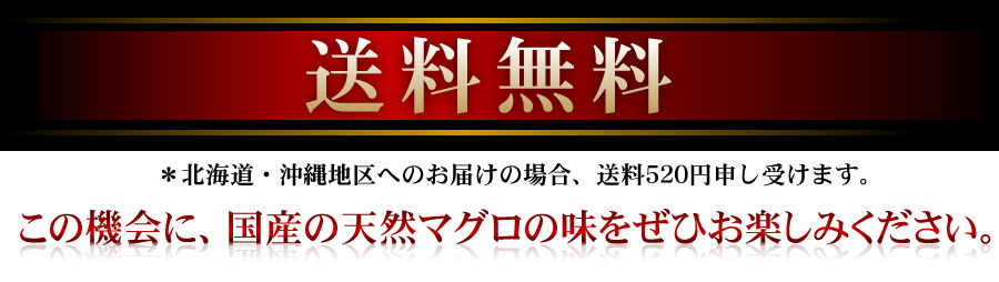 送料無料