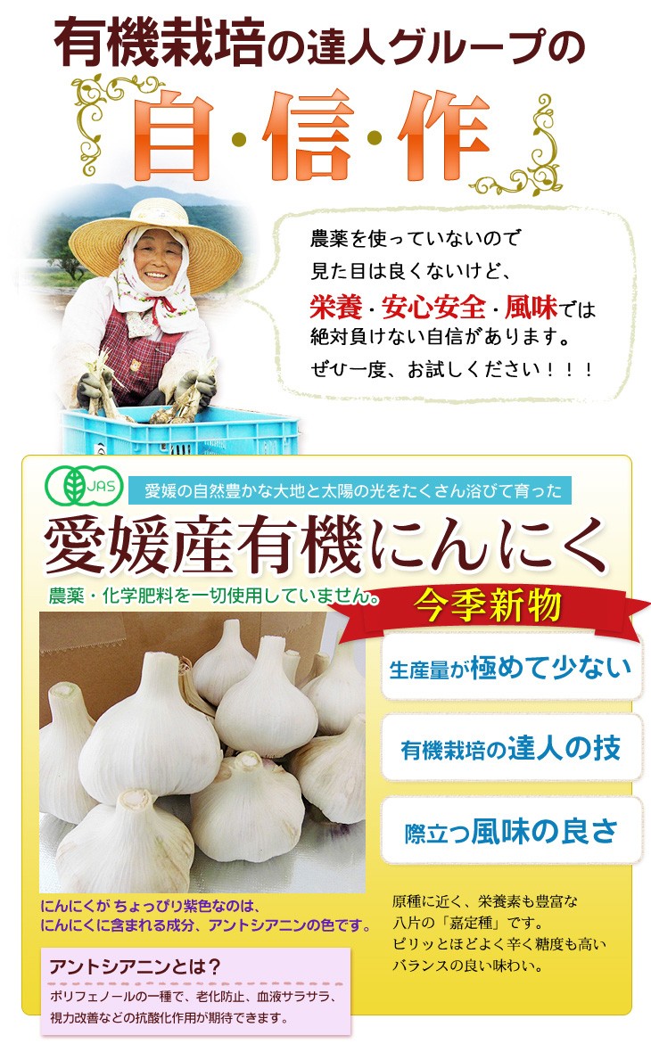 にんにく 国産 1kg×2箱 送料無料 有機 オーガニック 2キロ 希少 新物 安心安全 愛媛県産有機にんにく Y常  :uwn002-f:くいしんぼうドットコム 通販 
