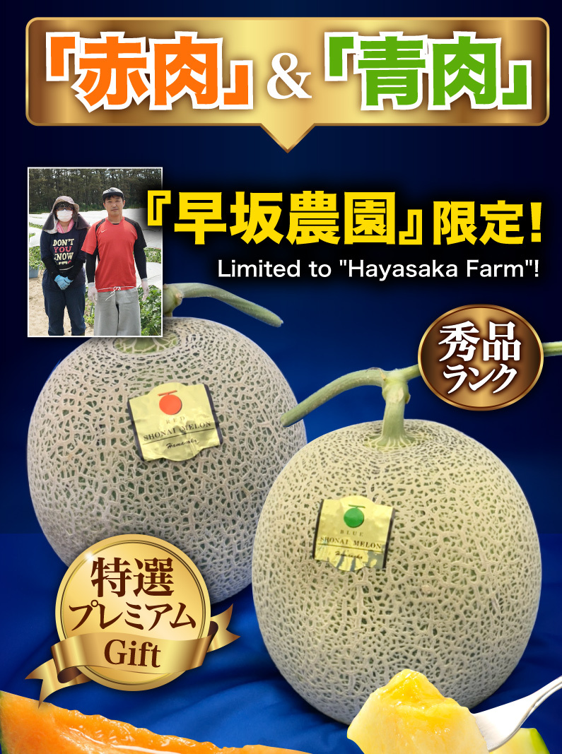 早期予約 ギフト メロン 山形県産 庄内砂丘 プレミアム 赤肉 青
