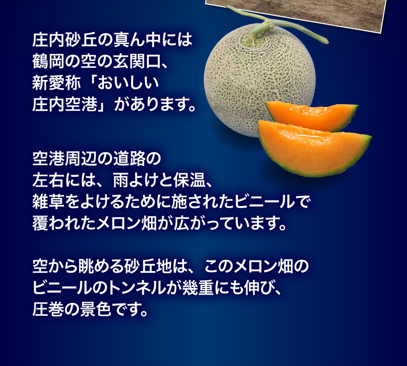 楽天市場】メロン 茨城 メロディーグリーン 大 1玉（約1.4kg