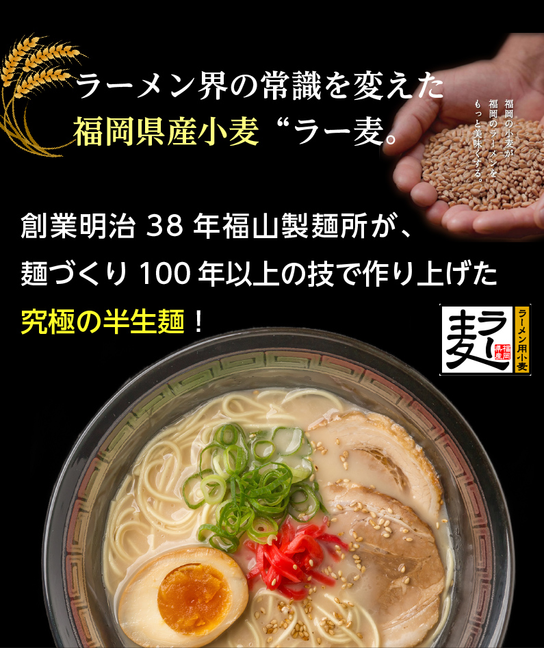 豚骨ラーメン餃子セット 博多が誇るラーメン屋の定番 とんこつラーメン5食 黒豚博多一口餃子25個 激得セット お家で本格ラーメン 送料無料 クール｜kuishinboucom｜07