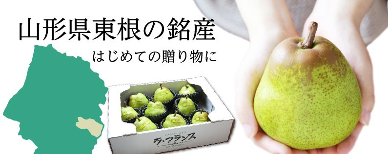 お歳暮 ギフト ラフランス 山形県東根 ラフランス 洋梨の女王 特秀大玉 ４Ｌ×６玉(約２kg) あまーい果実 ご贈答 グルメ Y常  :rf06:くいしんぼうドットコム - 通販 - Yahoo!ショッピング