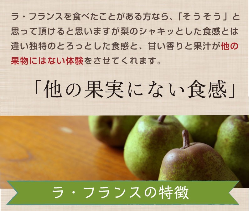 お歳暮 ギフト 山形県東根 ラフランス 洋梨の女王 特秀大玉３Ｌ×９玉(約３kg) 大玉 とろっとあまーい果実 ご贈答 フルーツ 果物 グルメ Y常  :rf09:くいしんぼうドットコム - 通販 - Yahoo!ショッピング