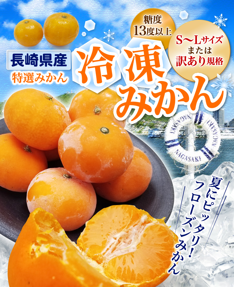 長崎県産 特選みかん 冷凍みかん 糖度13度以上 S~Lサイズまたは訳あり規格