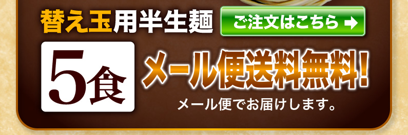 替え玉用半生麺5食 メール便送料無料！