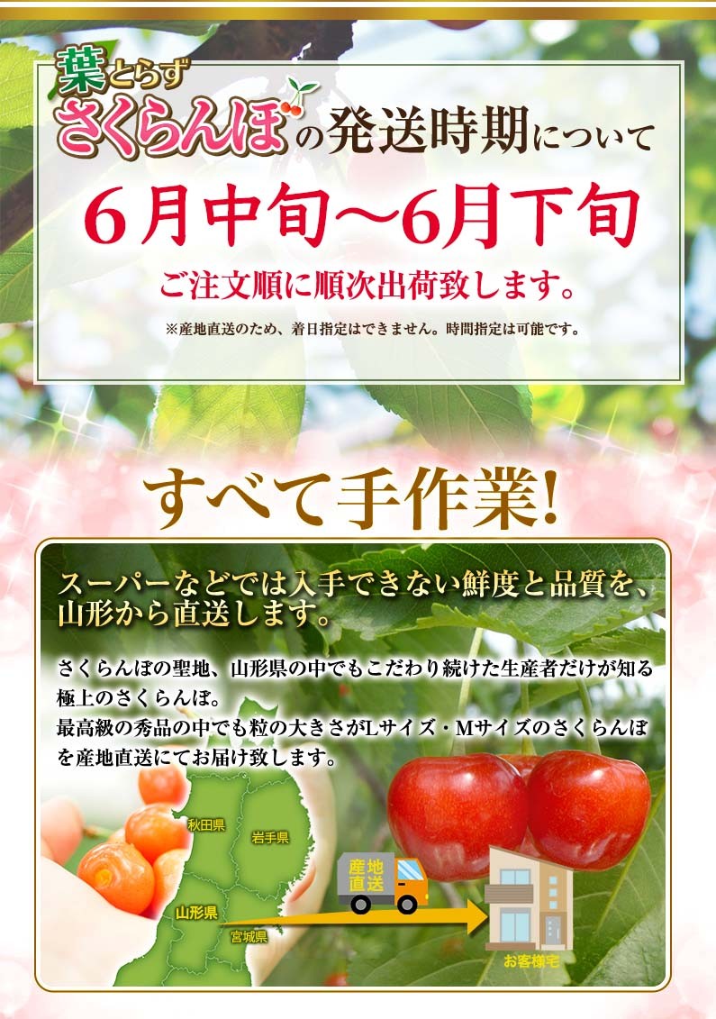 さくらんぼ 山形県産 武田さんの 朝摘み 葉取らずさくらんぼ 佐藤錦 秀品 Mサイズまたはlサイズ1kg バラ詰 産地直送 送料無料 訳あり Cherry M1000 くいしんぼうドットコム 通販 Yahoo ショッピング