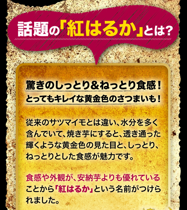 話題の「紅はるか」とは？驚きのしっとり＆ねっとり食感！