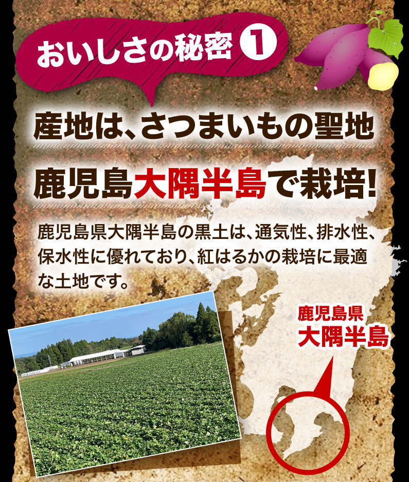 おいしさの秘密1 産地は、さつまいもの聖地鹿児島大隅半島で栽培！