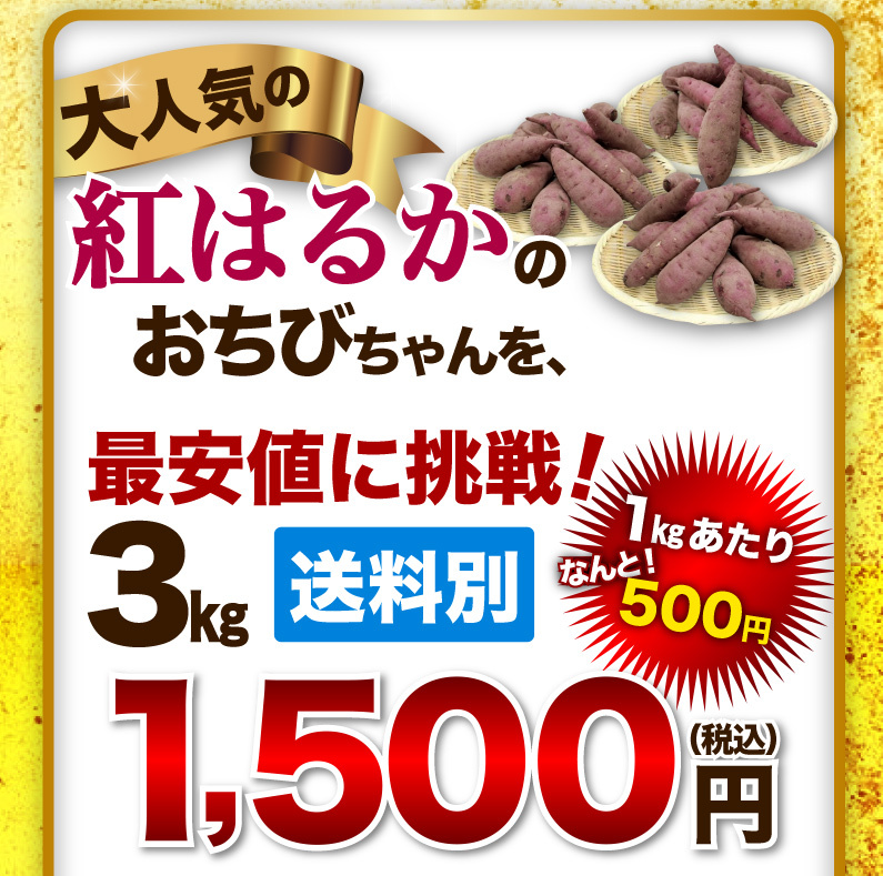 大人気の紅はるかのおちびちゃんを、最安値に挑戦！送料別