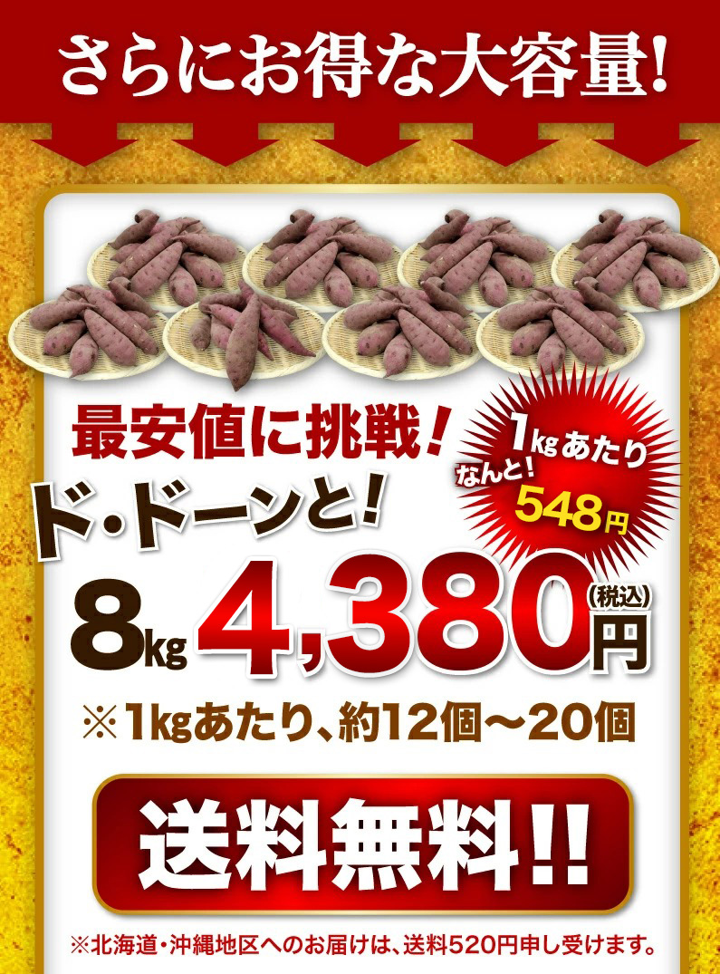 さらにお得な大容量！送料無料！！