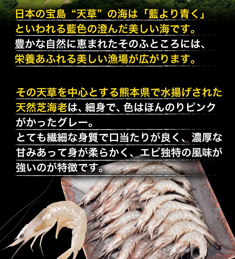 濃厚な甘みで身が柔らかく、エビ独特の風味が強いのが特徴