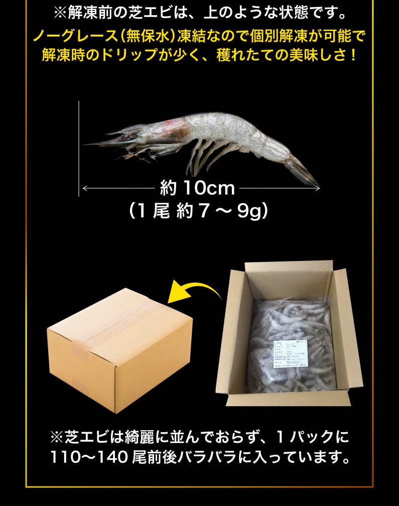 海老 冷凍 熊本県産 天然芝海老 1パック1kg(約110〜140尾前後) 有頭