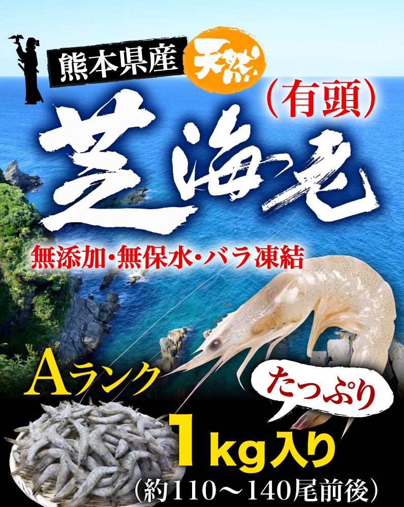 熊本県産天然芝海老(有頭) 無添加・無保水 バラ凍結1kg