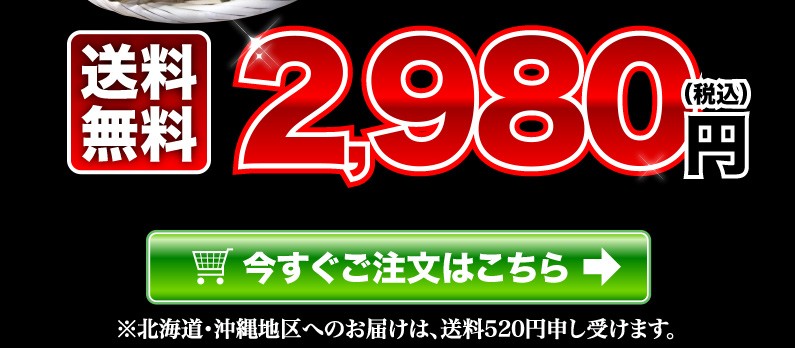 送料無料 今すぐご注文はこちら