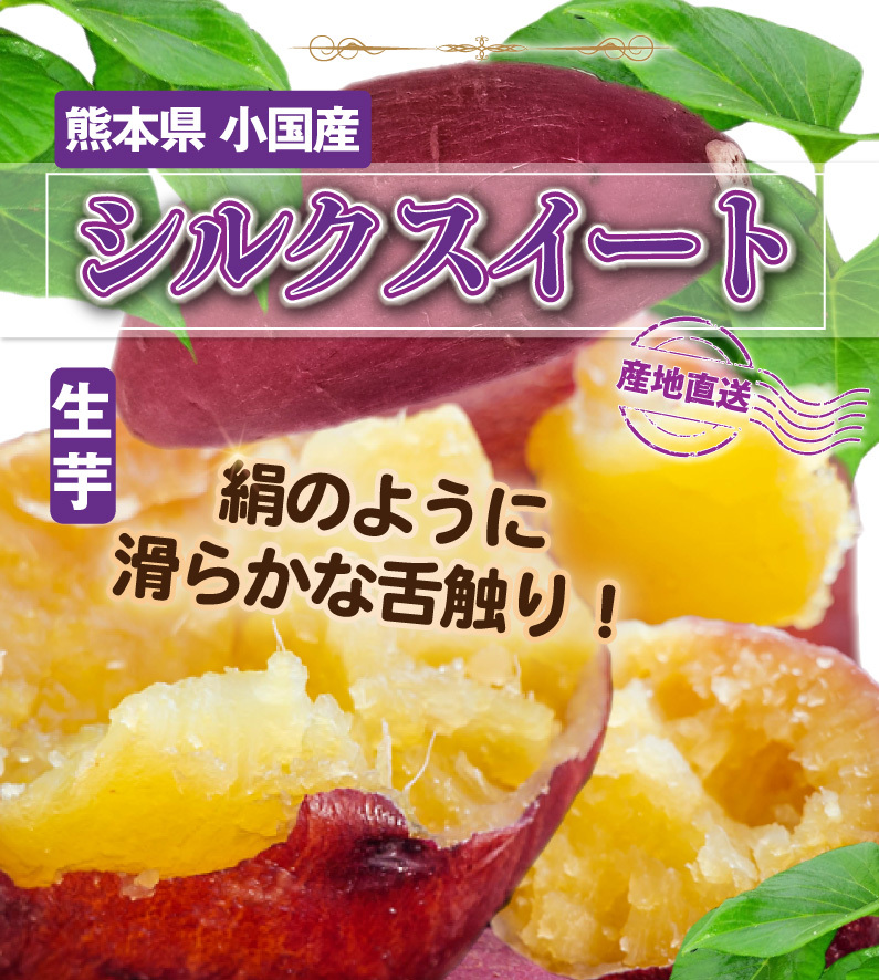 ギフト さつまいも シルクスイート 秀品 生芋 S・Mサイズ混合 100g〜250g 熊本県小国町 産地直送 4kg×1箱 送料無料 Y常  :silk-s:くいしんぼうドットコム - 通販 - Yahoo!ショッピング