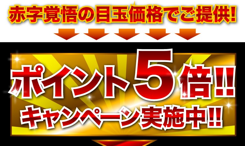 赤字覚悟の目玉価格でご提供！ポイント5倍！！