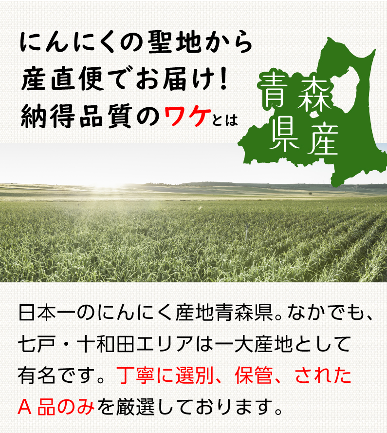 青森 にんにく10kg S-SSサイズ 約300玉から約350玉 福地ホワイト6片 国産 ニンニク 新物 送料無料 Y常