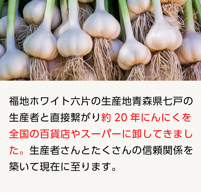 青森 にんにく10kg SSサイズ 約300玉から約350玉 福地ホワイト6片 国産 ニンニク 新物 送料無料 Y常