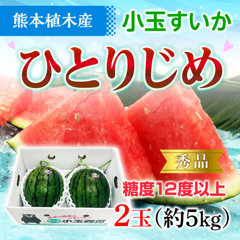 スイカ ひとりじめ 秀品 ２玉 熊本県産 植木スイカ 送料無料 小玉 すいか フルーツ 果物 甘い フルーツの里 産地直送 贈答用 S常 Suih02 くいしんぼうドットコム 通販 Yahoo ショッピング