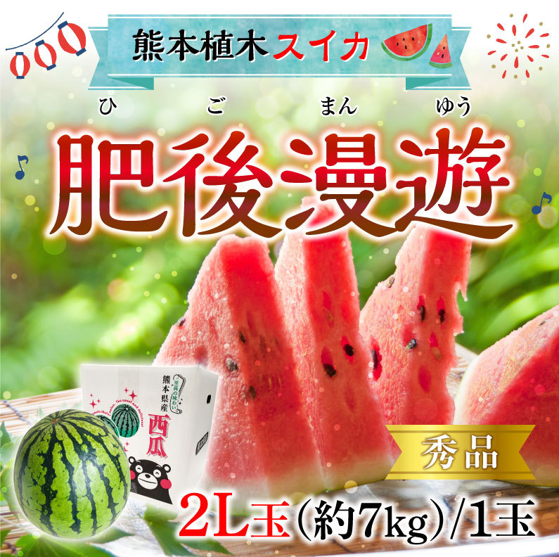 すいか 肥後漫遊 秀品 2L/1玉 熊本県産 植木スイカ 送料無料