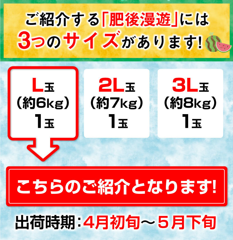 ポイント5倍 父の日 ギフト スイカ 肥後漫遊 秀品 L/１玉 熊本県産