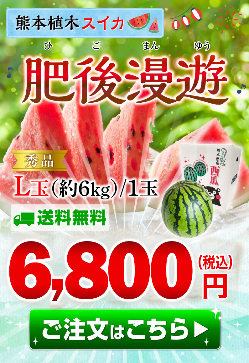 ポイント5倍 父の日 ギフト スイカ 肥後漫遊 秀品 L/１玉 熊本県産